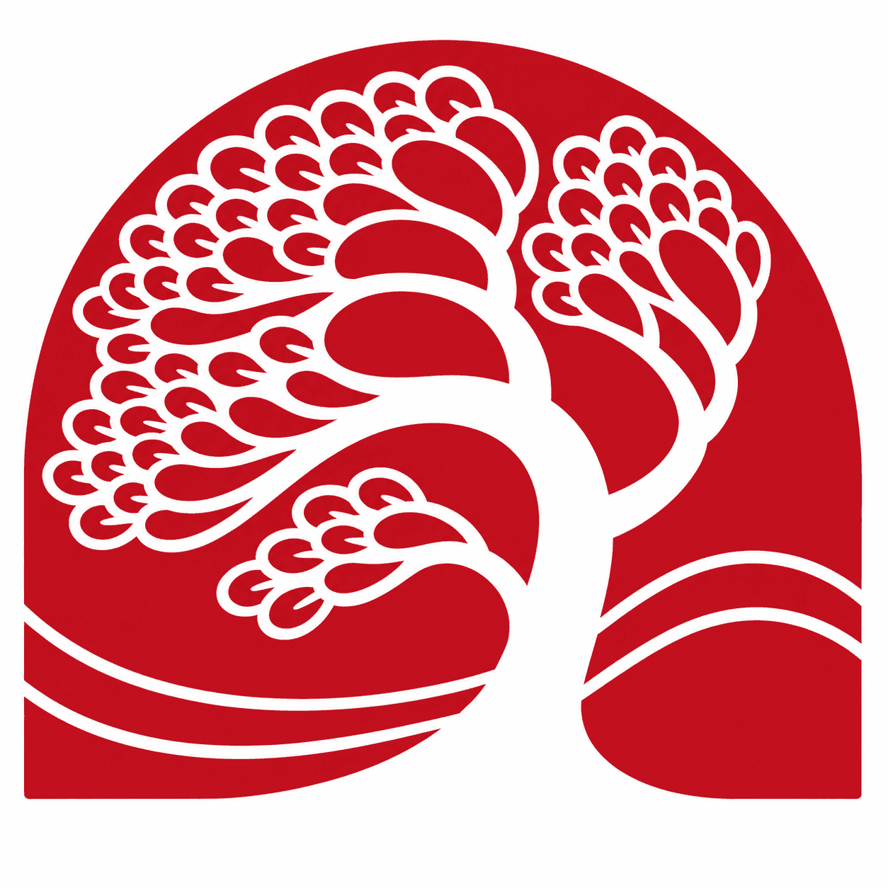 Hawaii Pacific Academy logo